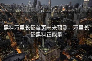 黑料万里长征首页未来预测，万里长征黑料正能量