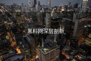 黑料网深层剖析