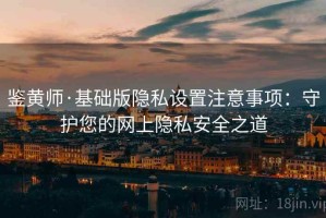 鉴黄师·基础版隐私设置注意事项：守护您的网上隐私安全之道