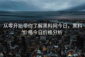 从零开始带你了解黑料网今日，黑料价格今日价格分析