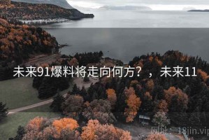 未来91爆料将走向何方？，未来11