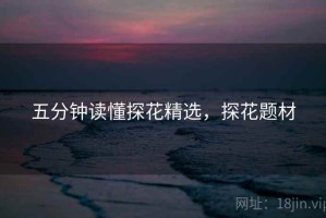 五分钟读懂探花精选，探花题材