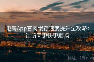 电鸽App官网缓存速度提升全攻略：让访问更快更顺畅