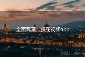 全面观察：探花视频app