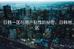 日韩一区与用户粘性的秘密，日韩地区