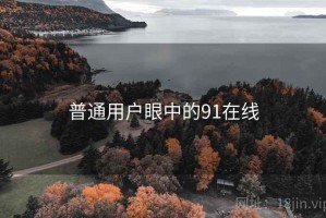 普通用户眼中的91在线