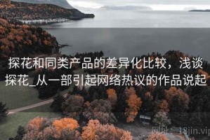 探花和同类产品的差异化比较，浅谈探花_从一部引起网络热议的作品说起