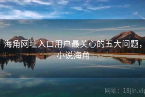 海角网址入口用户最关心的五大问题，小说海角