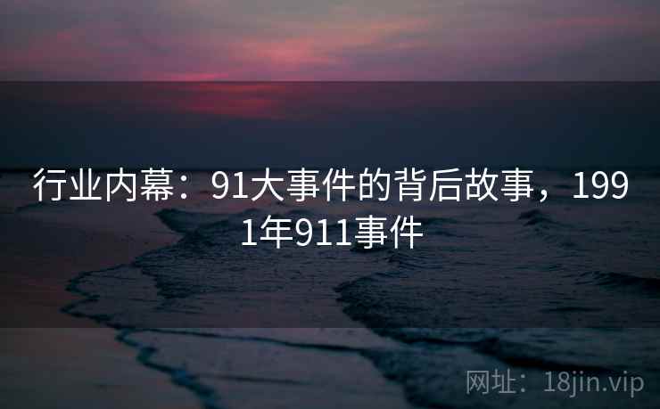 行业内幕：91大事件的背后故事，1991年911事件