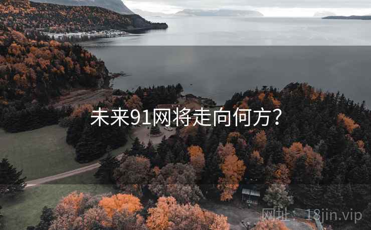 未来91网将走向何方？