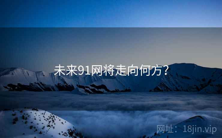 未来91网将走向何方？