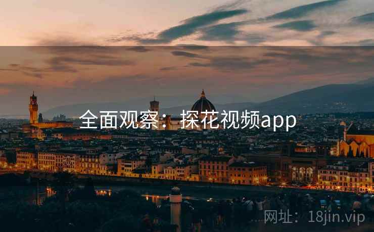 全面观察：探花视频app