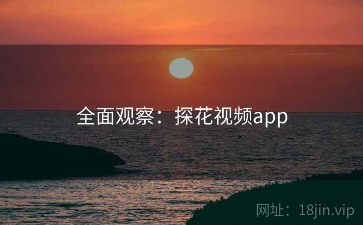 全面观察：探花视频app