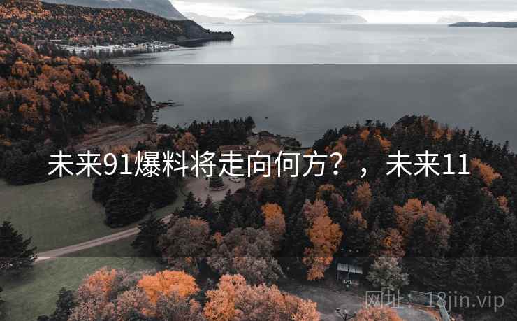 未来91爆料将走向何方?,未来11 未来91爆料将走向何方?,未来11